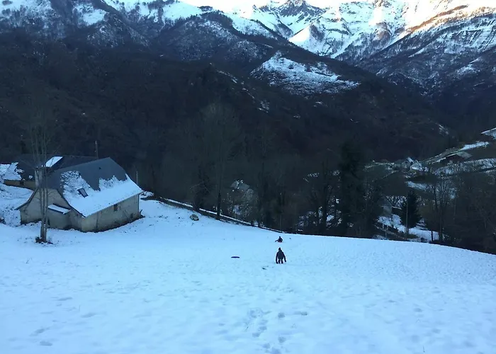 Bergerie Habata Arbéost